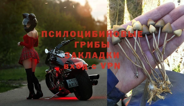 каннабис Богородицк