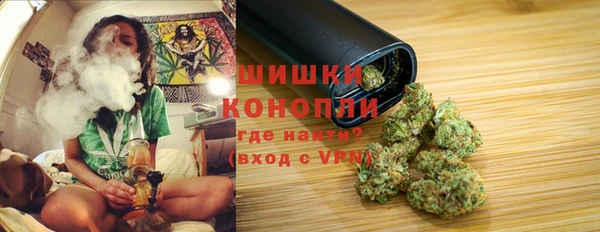 ешки Бородино