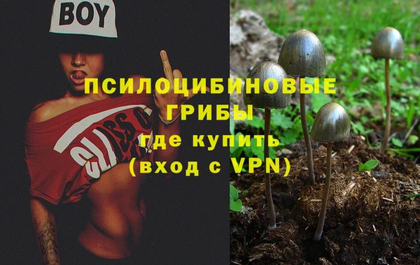 ALPHA PVP Богданович