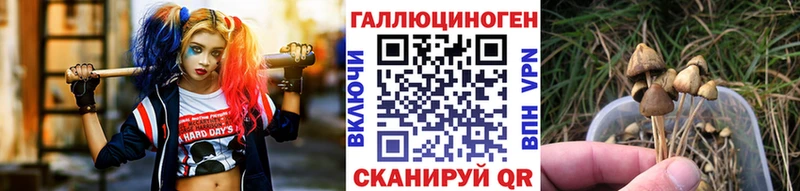 даркнет сайт  Березники  Псилоцибиновые грибы мицелий 